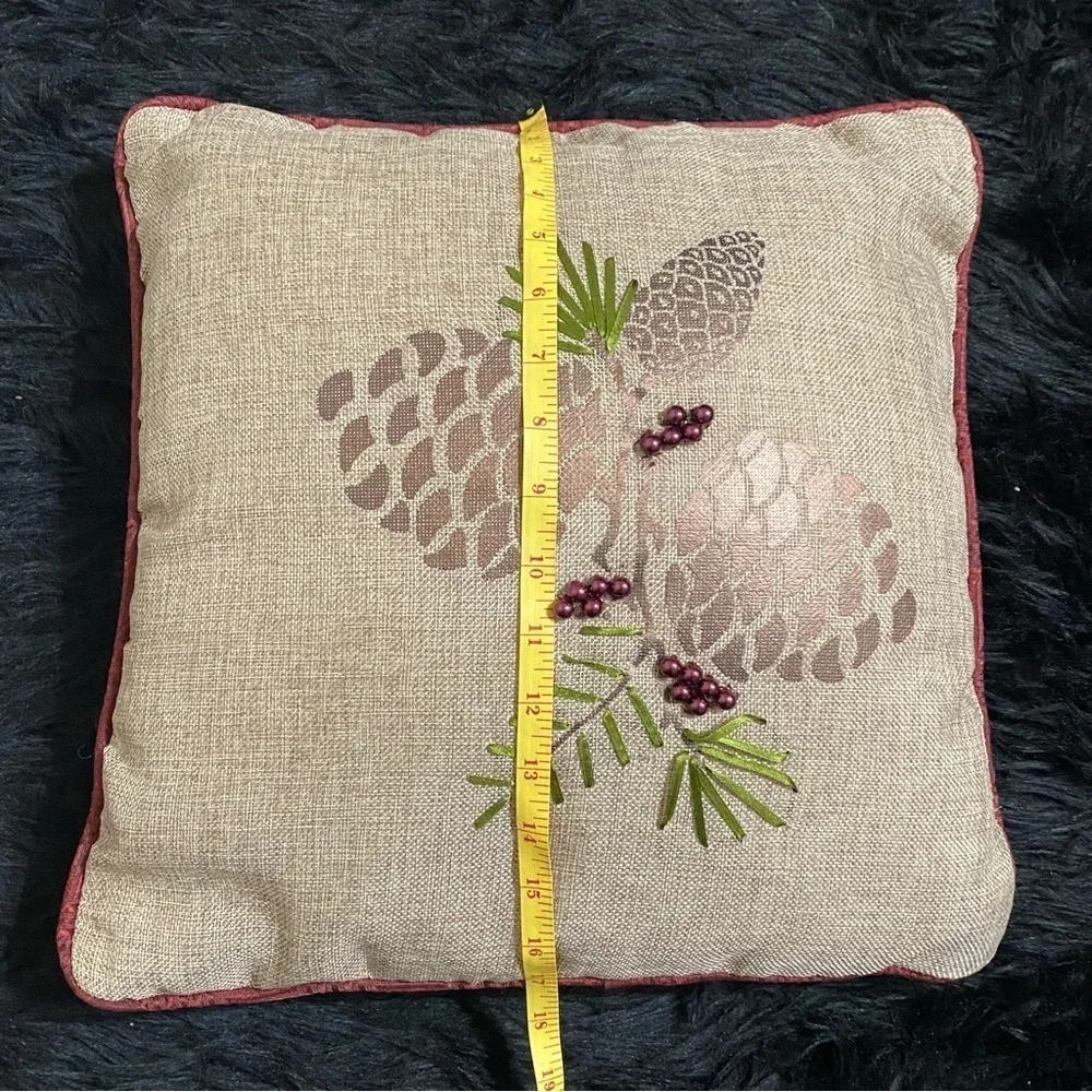 Source Unknown accent pillow
